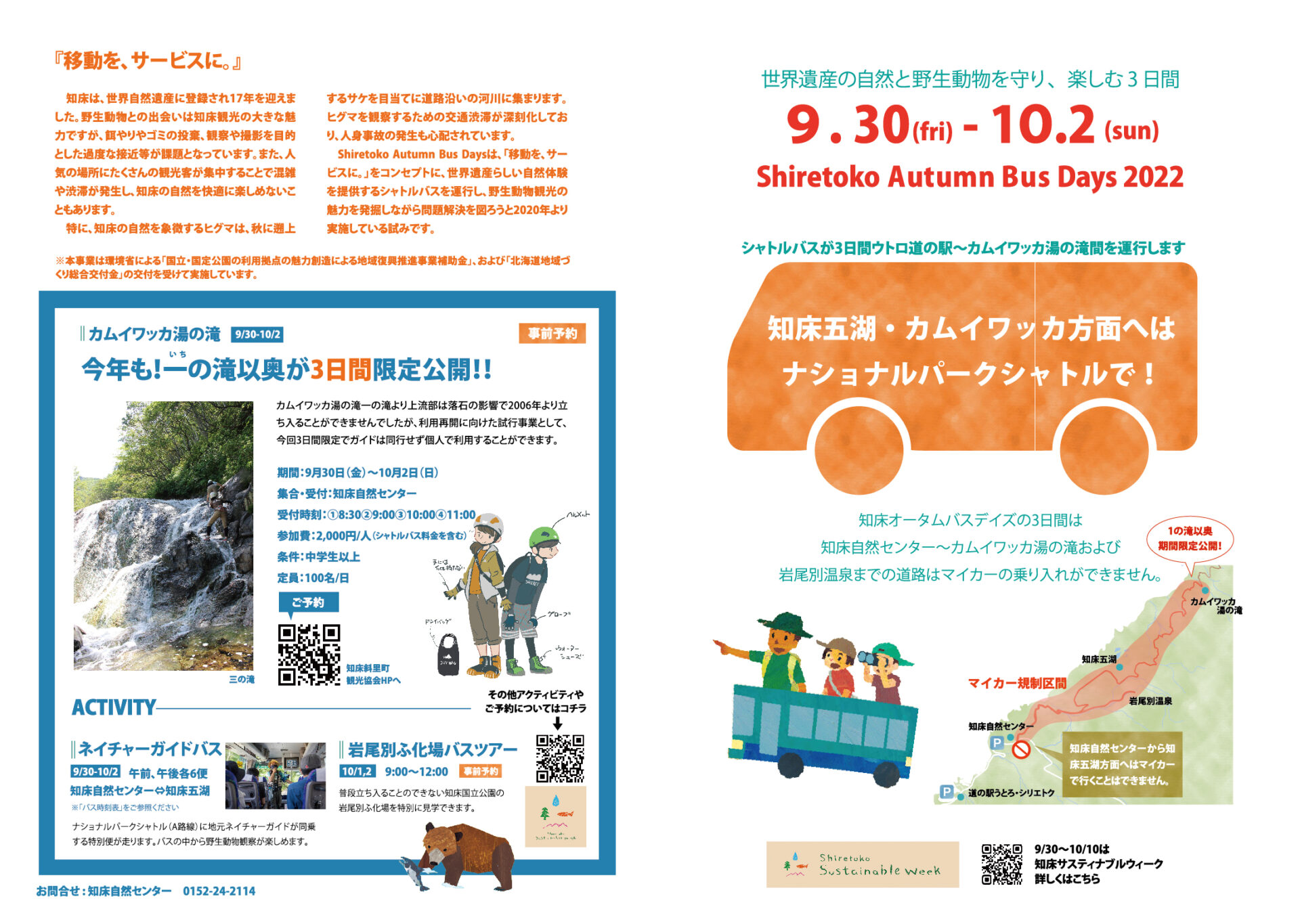 おとぎの国の白樺スワッグ 小賢しい