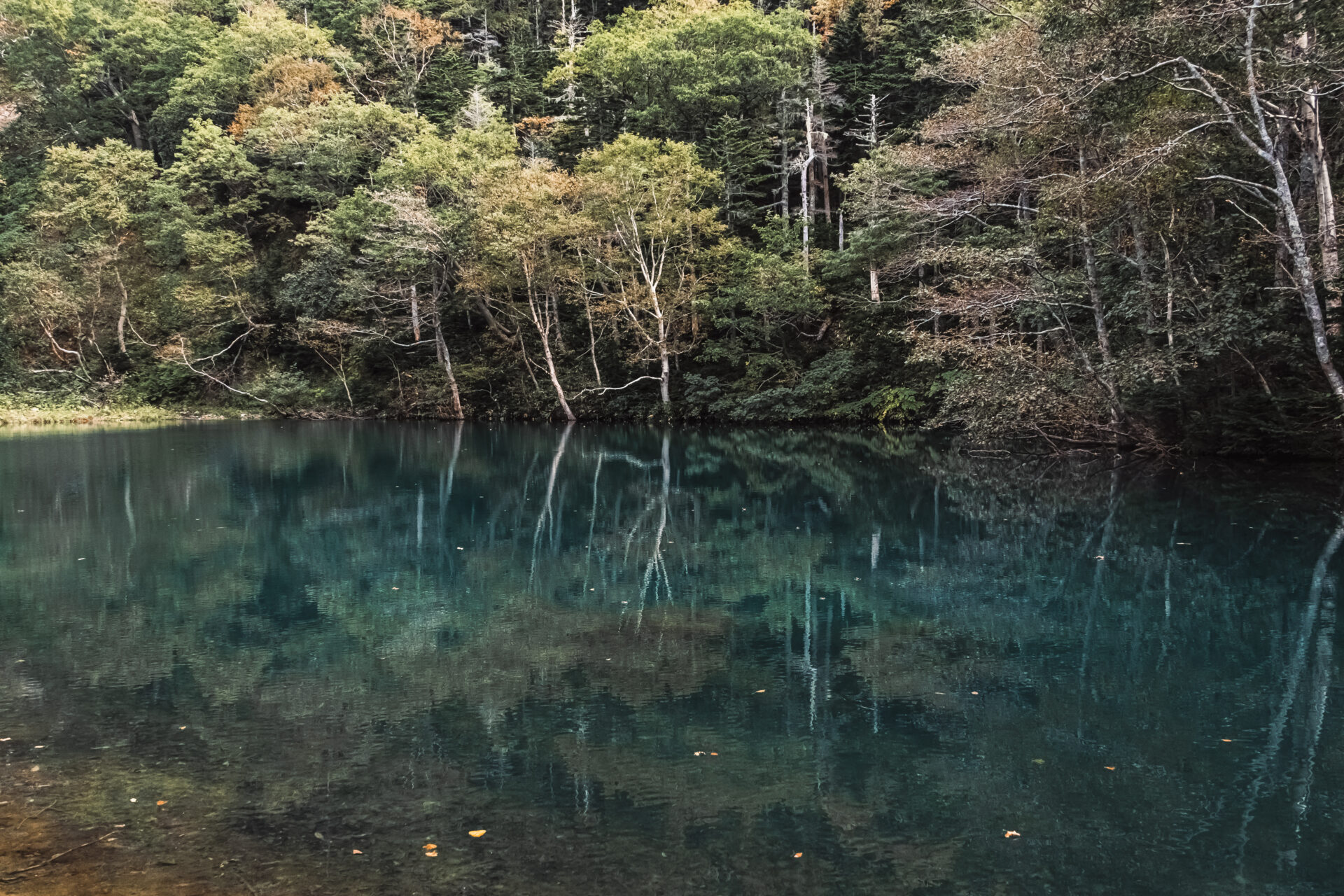 知床の名を冠する沼『知床沼』へ - 知床自然センター