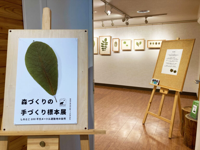 森づくりの手づくり標本展 ~しれとこ100平方メートル運動地の自然~ - 知床自然センター